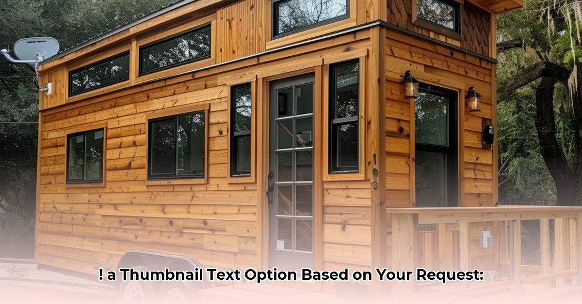 tiny-lister-net-worth